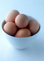 yumurtalarn zellikleri yumurtann